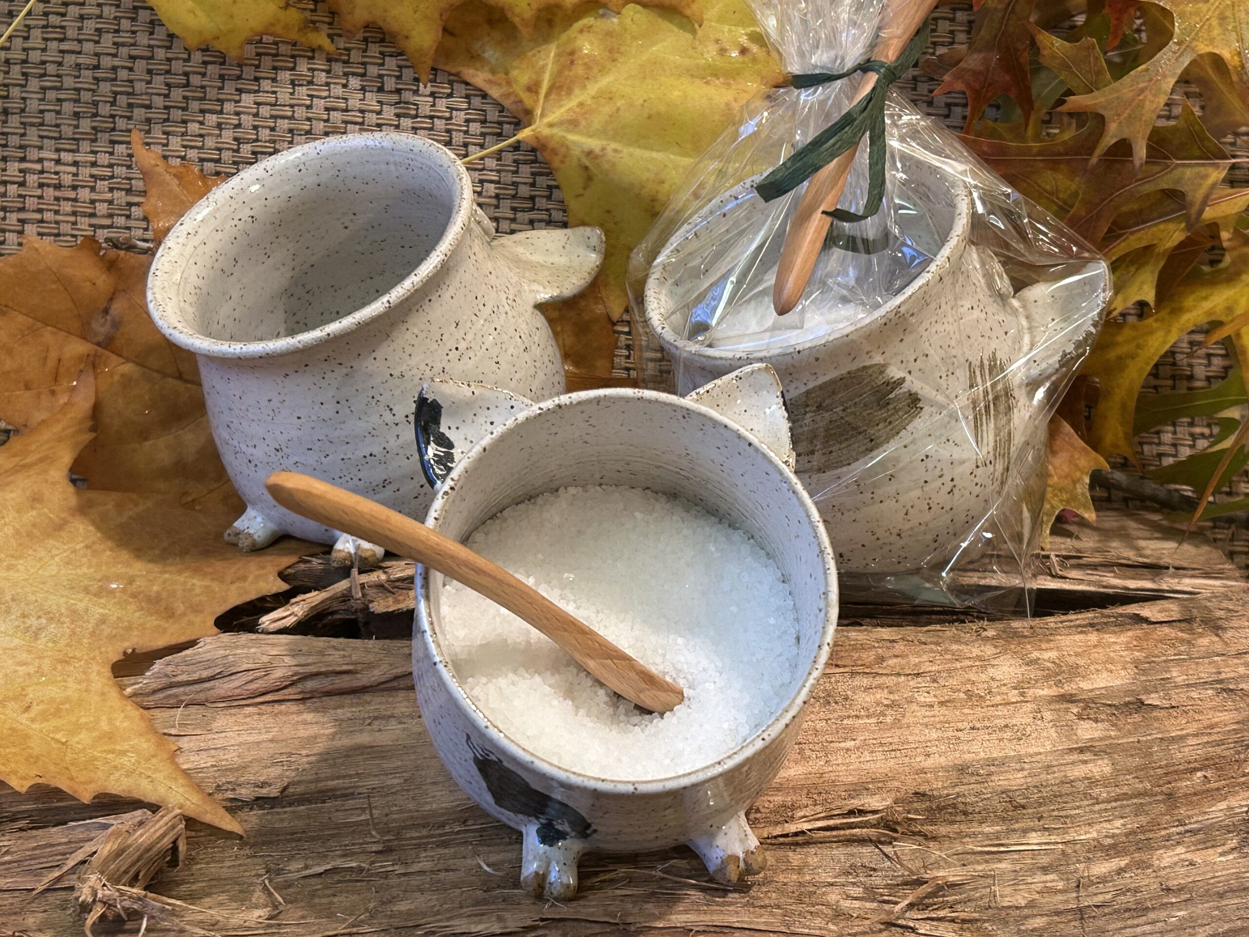 Mercedeskirk.com - Salt Piggs